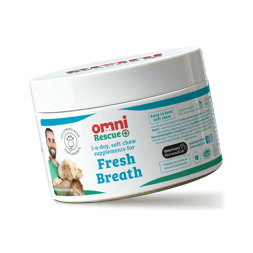 ✨ VitalPet Life Longevity+ Pet Supplement Powder | Extend Pet’s Healthy Lifespan, Boost Immunity, Improve Coat Shine, Reduce Itching & Freshen Breath – For Dogs & Cats, All Ages