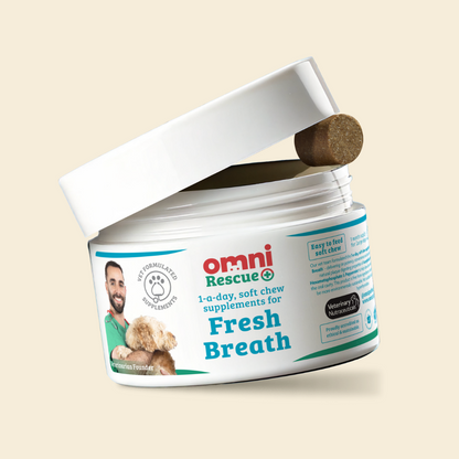 ✨ VitalPet Life Longevity+ Pet Supplement Powder | Extend Pet’s Healthy Lifespan, Boost Immunity, Improve Coat Shine, Reduce Itching & Freshen Breath – For Dogs & Cats, All Ages