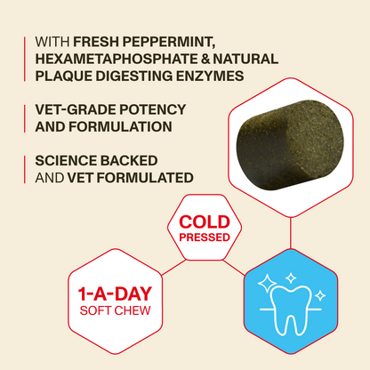 ✨ VitalPet Life Longevity+ Pet Supplement Powder | Extend Pet’s Healthy Lifespan, Boost Immunity, Improve Coat Shine, Reduce Itching & Freshen Breath – For Dogs & Cats, All Ages