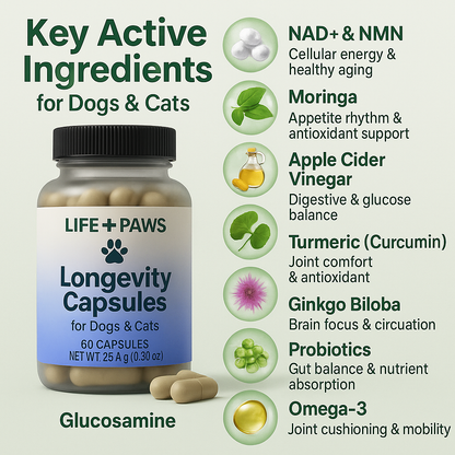 𝐋𝐈𝐅𝐄+ 𝐏𝐀𝐖𝐒®𝐏𝐄𝐓｜𝐏𝐄𝐓 𝐋𝐈𝐅𝐄𝐒𝐏𝐀𝐍 ×𝟐 / ×𝟑（𝐄𝐱𝐭𝐞𝐧𝐝 𝐩𝐞𝐭 𝐥𝐢𝐟𝐞𝐬𝐩𝐚𝐧 𝐛𝐲 𝟓 𝐭𝐨 𝟏𝟎 𝐲𝐞𝐚𝐫𝐬）｜𝐀𝐧𝐭𝐢-𝐀𝐠𝐢𝐧𝐠 𝐋𝐨𝐧𝐠𝐞𝐯𝐢𝐭𝐲 𝐒𝐮𝐩𝐩𝐨𝐫𝐭｜𝐕𝐢𝐭𝐚𝐥𝐢𝐭𝐲 𝐁𝐨𝐨𝐬𝐭｜𝐉𝐨𝐢𝐧𝐭 𝐅𝐥𝐞𝐱𝐢𝐛𝐢𝐥𝐢𝐭𝐲｜𝐂𝐨𝐠𝐧𝐢𝐭𝐢𝐯𝐞 𝐂𝐚𝐫𝐞｜𝐃𝐢𝐠𝐞𝐬𝐭𝐢𝐯𝐞 𝐁𝐚𝐥𝐚𝐧𝐜𝐞