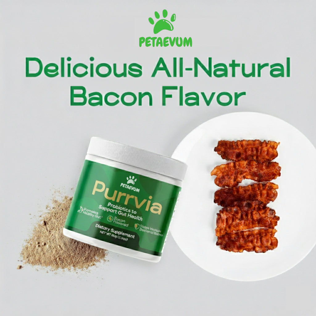 Purrvia Probiotic / Longevity Support